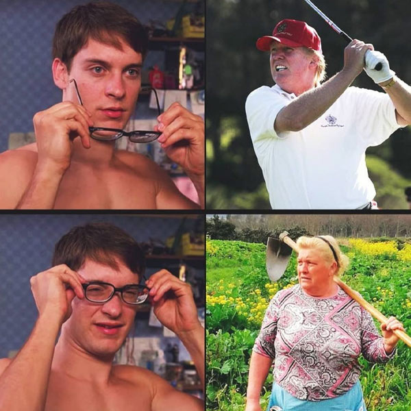 los tardígrados