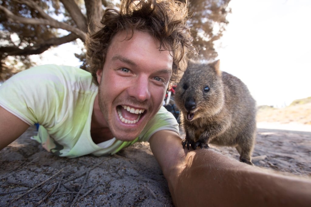 Snapting with Wild Animals es una nueva tendencia 17