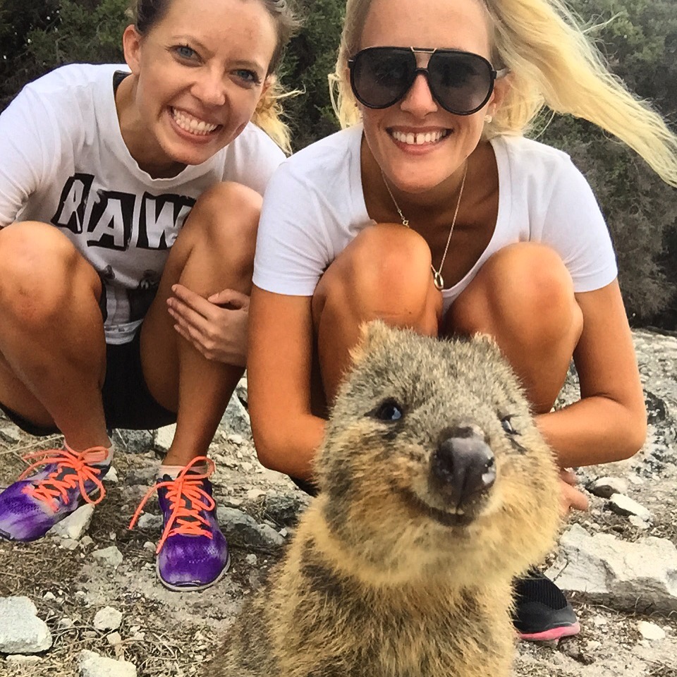 Snapting with Wild Animals es una nueva tendencia 18