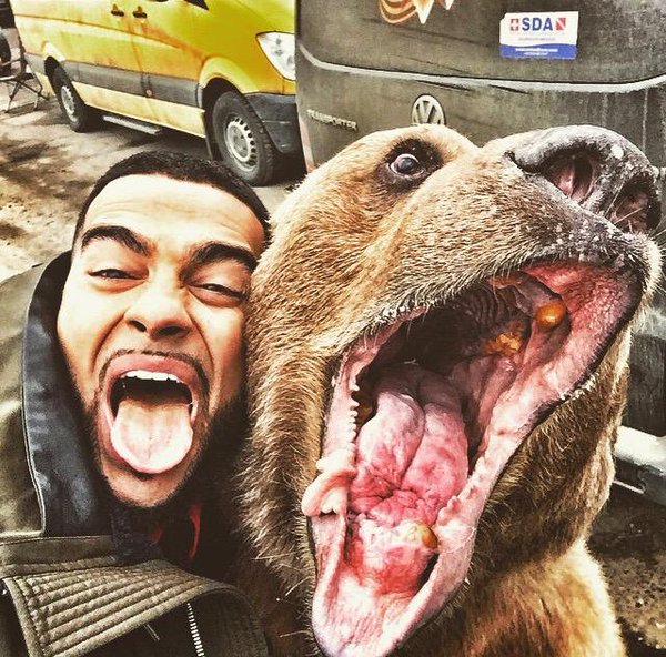 Snapting with Wild Animals es el 6 de la nueva tendencia