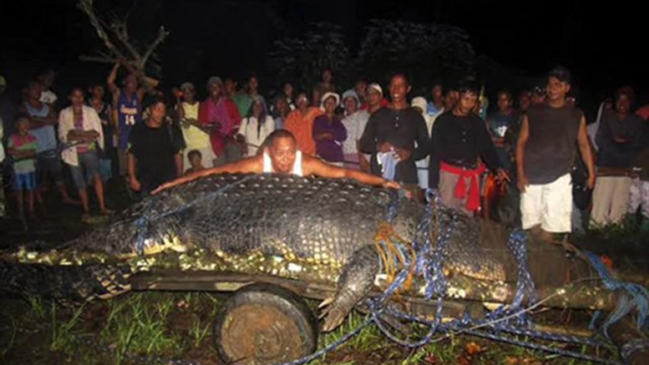 animales_increíbles_que_puedes_encontrar_solo_en_filipinas_07