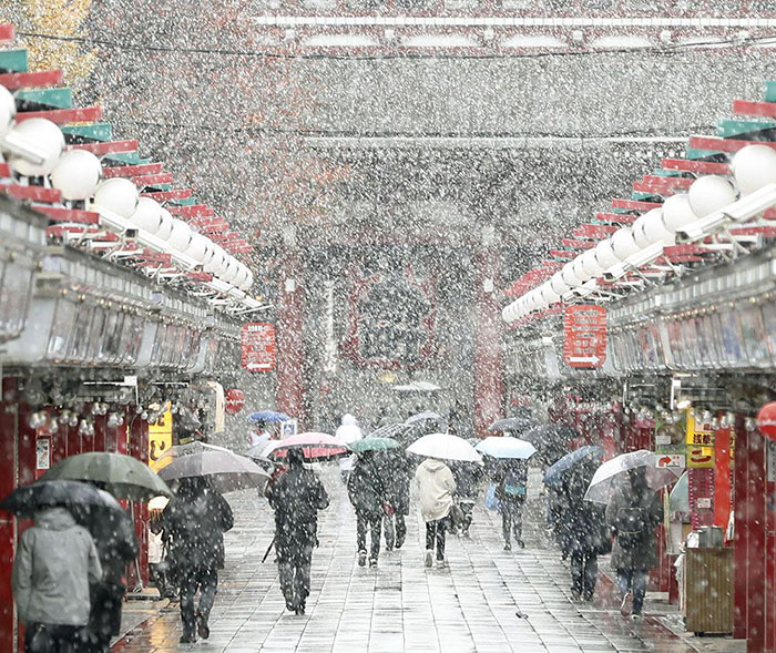 Shape -snow -15