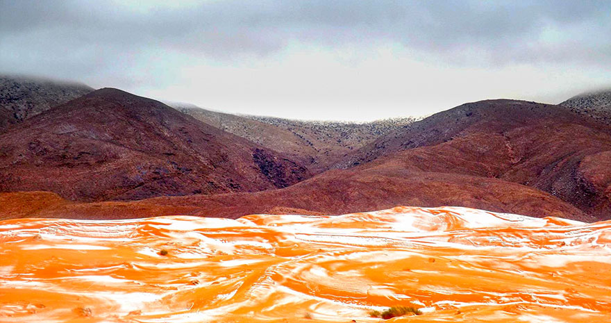 Nieve-fall-in-sahara-desert-is -ddddly-satisfactoria -07