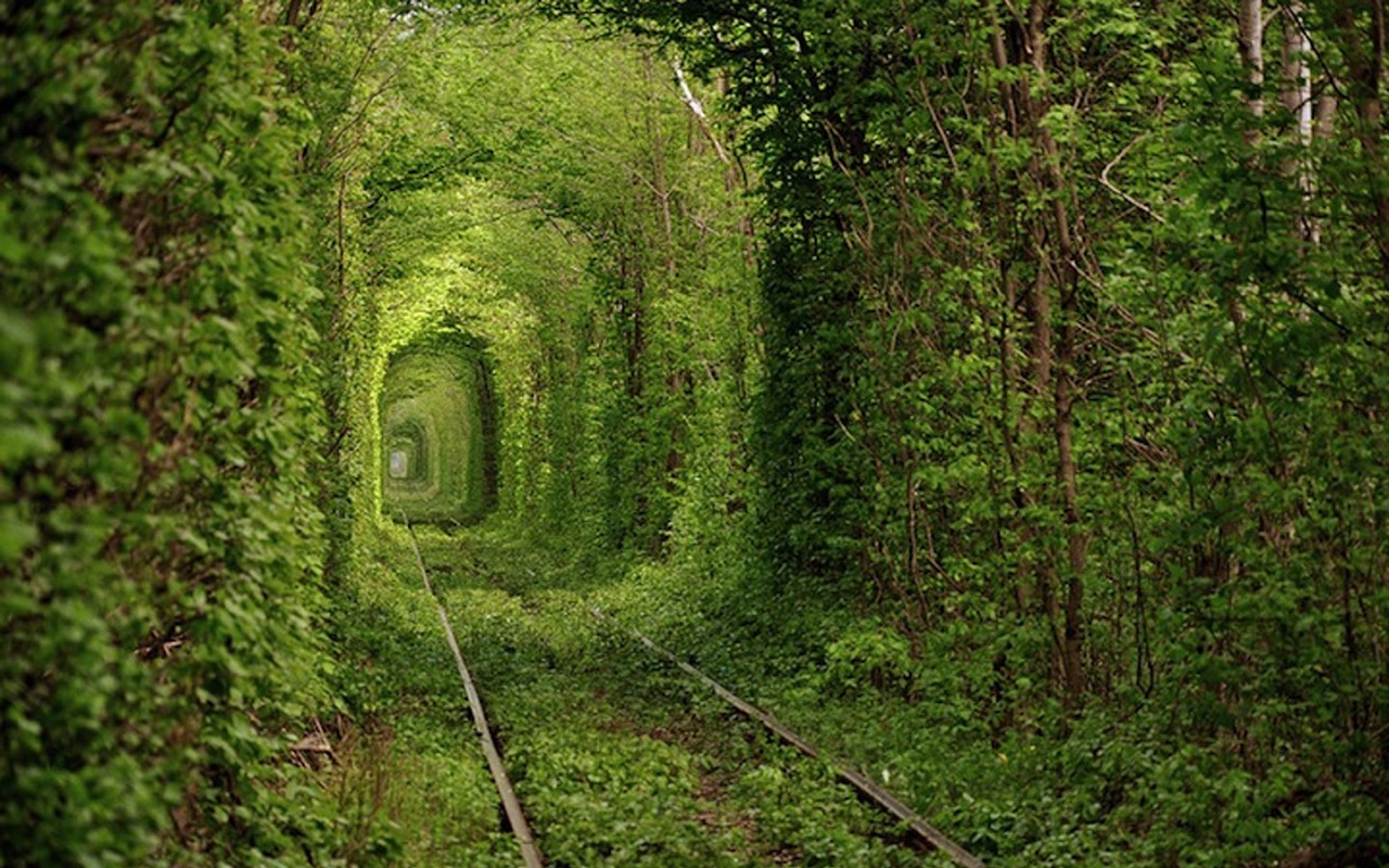 1) Túnel de amor, CLV, Ucrania.