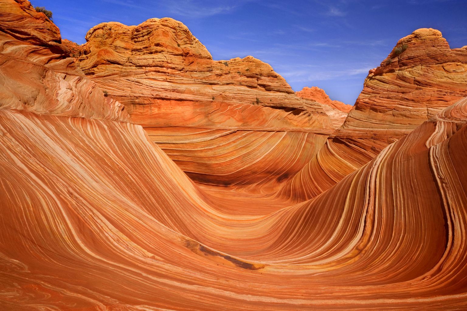 14 Naturaleza extranjera y hermosa 14 Ejemplos de pensamiento 18