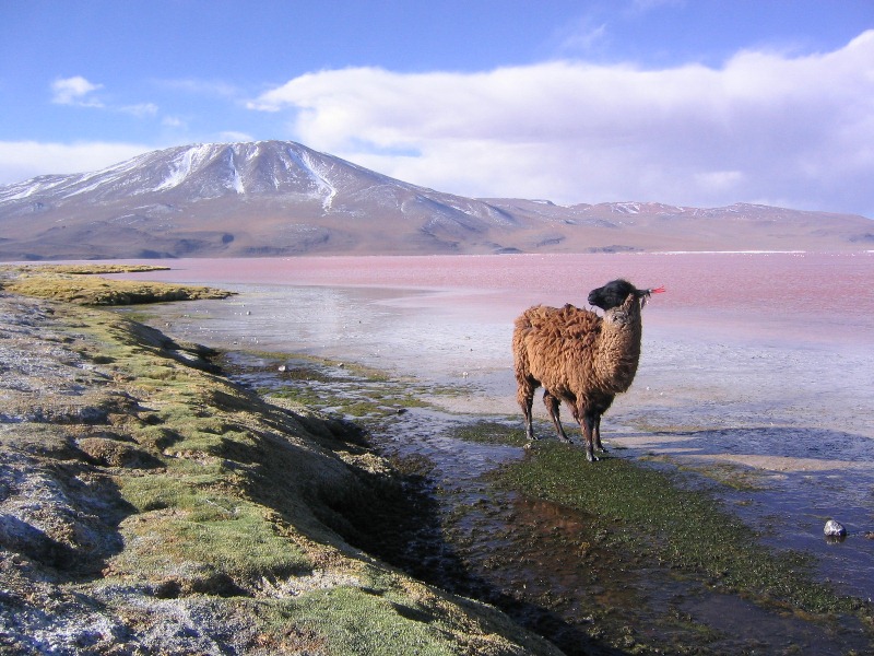14 mentes de invierno y hermosa naturaleza 6