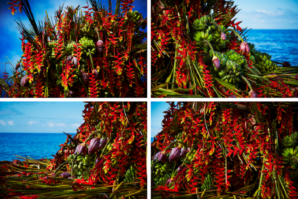 Floración