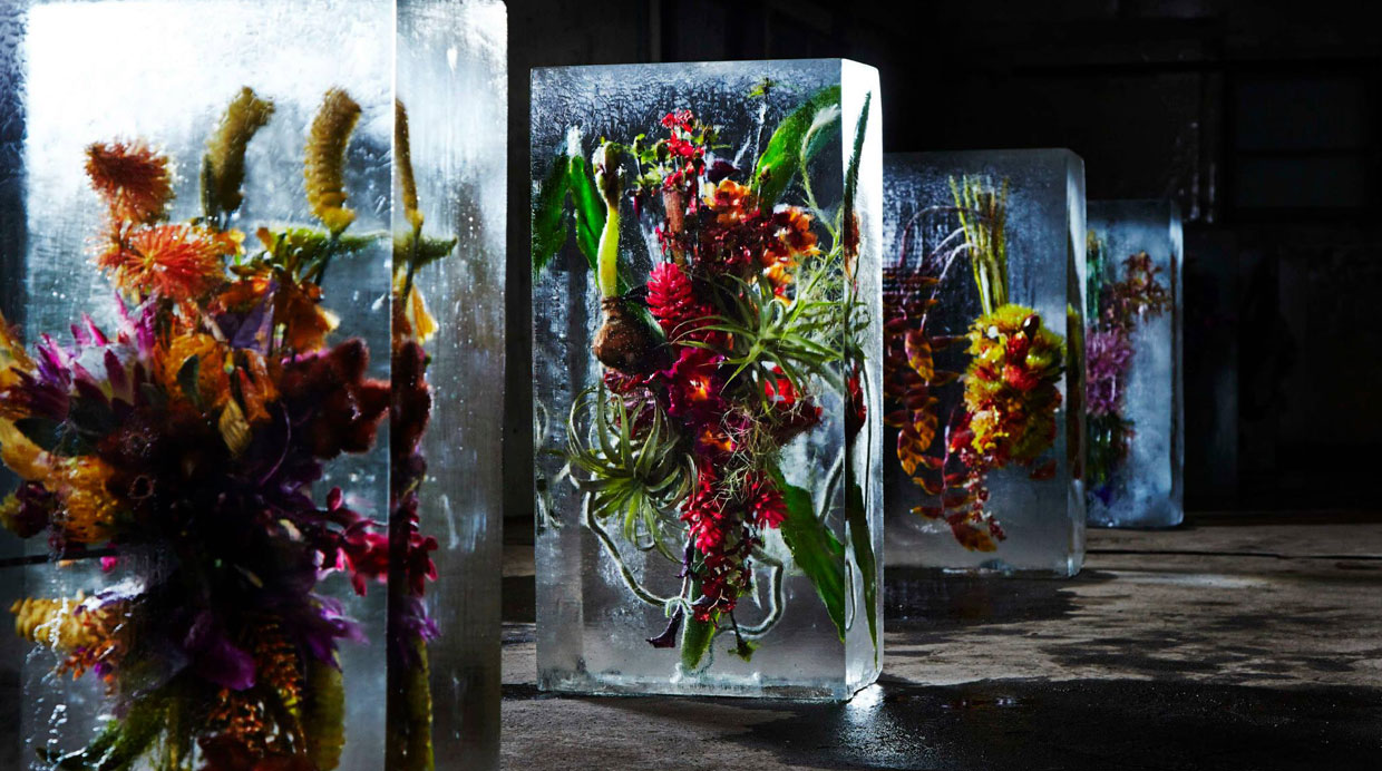 Flores de hielo