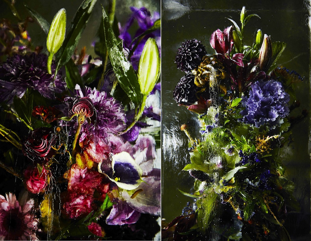 Flores de hielo