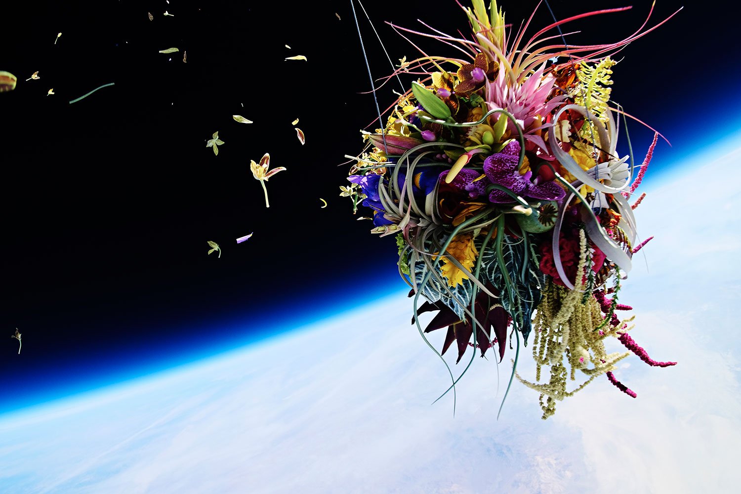 6 proyectos impresionantes que convierten la botánica en art 2